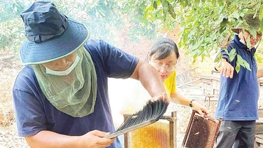 Sản phẩm mật ong của Công ty TNHH Một thành viên Ong mật Bảo An Tây Ninh được công nhận đạt chuẩn OCOP 4 sao. (Ảnh CTV)