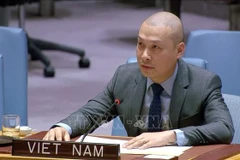 Công sứ Nguyễn Hoàng Nguyên, Phó Trưởng Phái đoàn thường trực Việt Nam tại Liên hợp quốc. (Ảnh tư liệu: TTXVN phát)