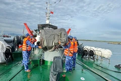 Các tàu chằng dây chống bão số 13.