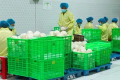 Đóng gói dừa xuất khẩu tại doanh nghiệp trên địa bàn tỉnh Vĩnh Long. (Ảnh: MINH ANH)