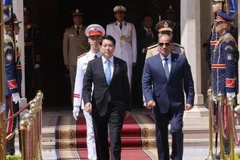 Tổng thống Ai Cập Abdel Fattah El-Sisi đón Chủ tịch nước Lương Cường. (Ảnh: Lâm Khánh/TTXVN)