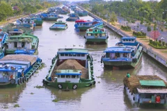 Ảnh minh họa.
