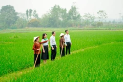 Bảo hiểm giúp giảm gánh nặng tài chính cho cả người dân và ngân sách quốc gia.