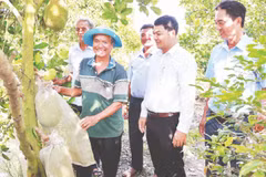 Lãnh đạo xã Tháp Mười, tỉnh Đồng Tháp thăm mô hình trồng mít của nông dân tại ấp Mỹ An 3, xã Tháp Mười.