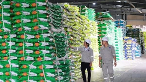 PVFCCo-Phú Mỹ đã quyết liệt chuyển mình trong kinh doanh với hai mục tiêu cốt lõi: thúc đẩy tăng trưởng phù hợp xu hướng cạnh tranh mới và tối ưu hóa hiệu quả chi phí kênh phân phối.