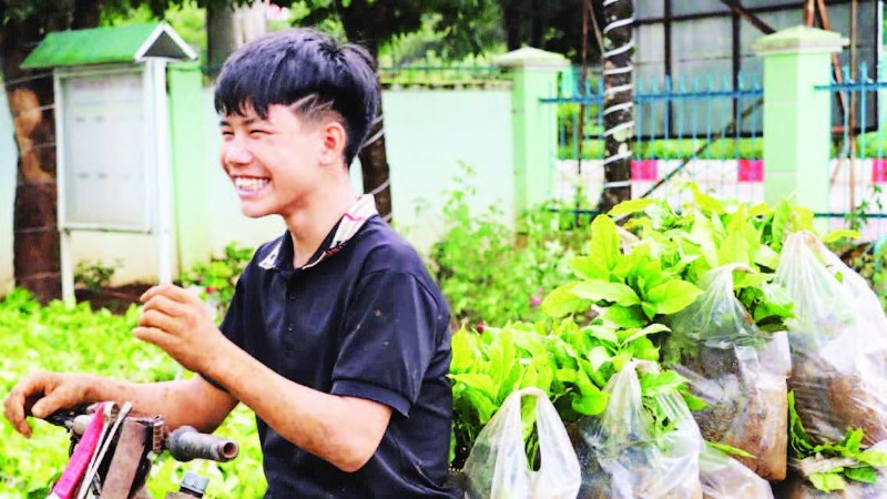 Niềm vui của người dân khi nhận được cây giống. tay-nguyen-8-8-18h50-8405-2437.jpg