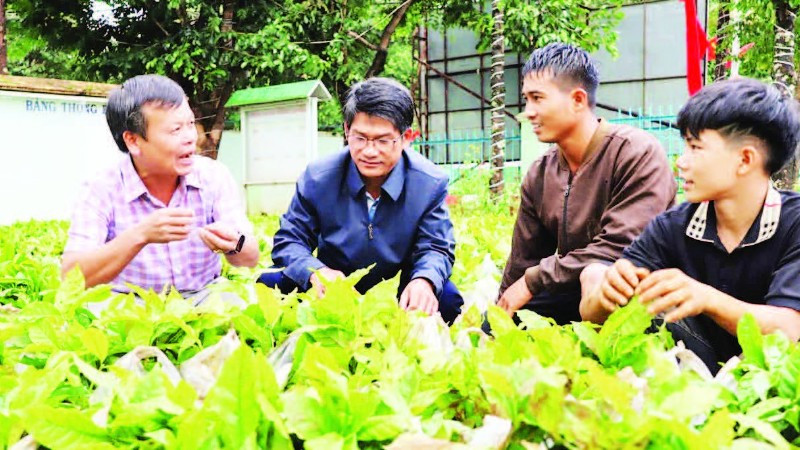 Lãnh đạo Ủy ban nhân dân xã Tu Mơ Rông hướng dẫn kỹ thuật trồng cây cho người dân. tay-nguyen-8-8-18h50-8243-5684.jpg