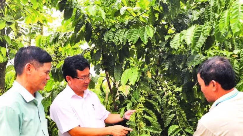 Lãnh đạo xã Phú Vinh (tỉnh Đồng Nai) sâu sát gắn bó với nông dân, tích cực đưa nghị quyết vào sản xuất nông nghiệp, xây dựng nông thôn mới.