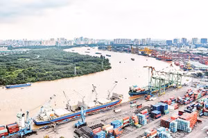 Thành phố Hồ Chí Minh đang triển khai lập quy hoạch với tầm nhìn phát triển dài hạn, bền vững.