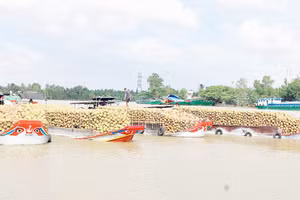 Nhiều phương tiện ghe chở hàng hóa nông sản neo đậu trên tuyến sông Đức Mỹ chờ cống thủy lợi Cái Hóp, xã Nhị Long, Vĩnh Long mở cửa để lưu thông.