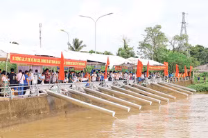 Hoạt động thả cá về tự nhiên nhằm đa dạng nguồn lợi thủy sản được tổ chức tại thành phố Cần Thơ.
