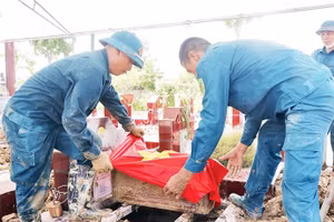 Triển khai thu nhận mẫu sinh phẩm trên địa bàn xã Nhân Thắng, tỉnh Bắc Ninh.