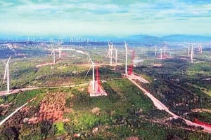Lâm Đồng phát huy tiềm năng, lợi thế về năng lượng gió để từng bước hình thành trung tâm năng lượng tái tạo phục vụ sản xuất xanh.