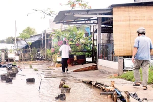 Lối vào khu dân cư khóm Sa Phô nằm dọc tuyến sông Cửa Lớn (thị trấn Năm Căn, huyện Năm Căn, tỉnh Cà Mau) bị sạt lở làm hư hỏng.