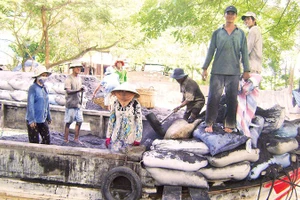 Chợ tro Trà Thôn giúp nhiều lao động vùng nông thôn có việc làm ổn định.