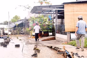 Lối vào khu dân cư khóm Sa Phô nằm dọc tuyến sông Cửa Lớn (thị trấn Năm Căn, huyện Năm Căn, tỉnh Cà Mau) bị sạt lở làm hư hỏng.