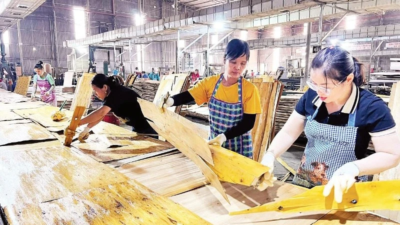 Thái Nguyên tạo đột phá với cơ chế 'luồng xanh' và 'trà sáng cùng doanh nhân'