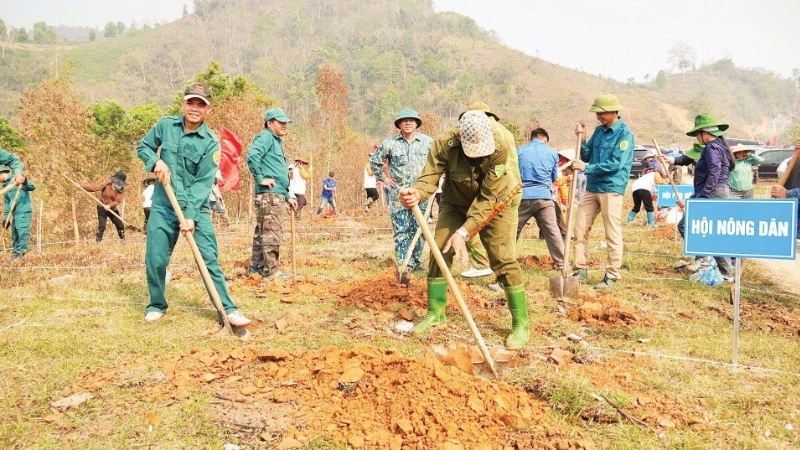 Quân đội Điện Biên hỗ trợ nhân dân đào hố trồng cà phê, mắc ca