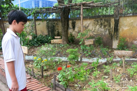 Một góc vườn trường tuần hoàn của Trường trung học cơ sở Nam Trung Yên. (Ảnh: NGÂN ANH)