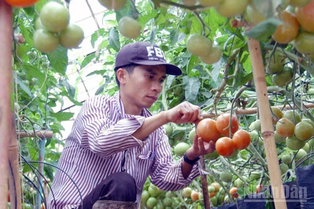 Lâm Đồng tiến hành rà soát, xác định nông hộ có mức sống trung bình.