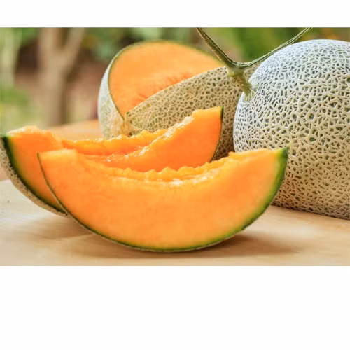 Dưa lưới