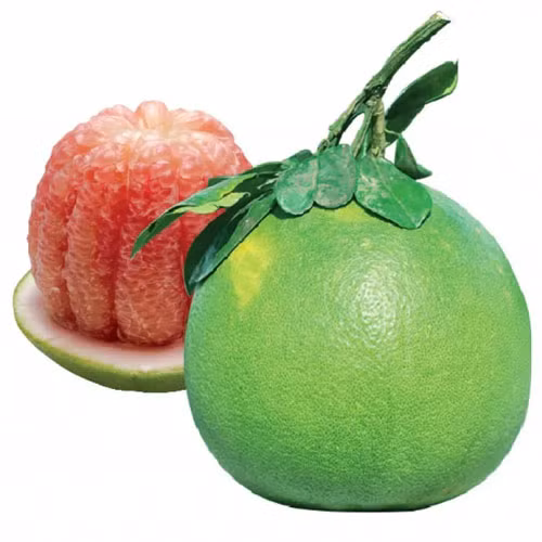 Bưởi da xanh