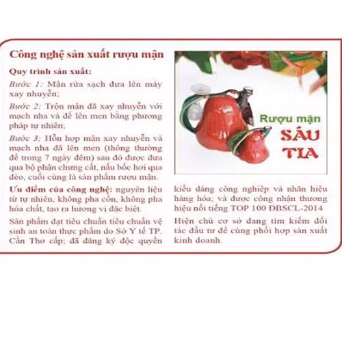 Rượu mận Sáu Tia