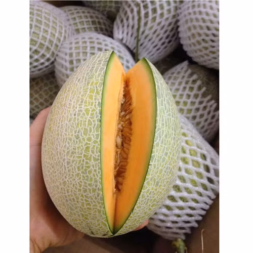 Dưa lưới