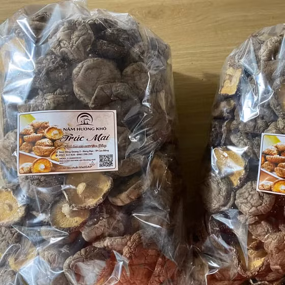  Nấm hương Việt Trúc Mai