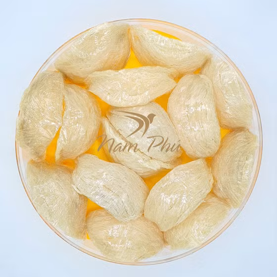 Yến sào Nam Phú