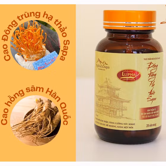 Viên nang đông trùng hạ thảo Sapa 