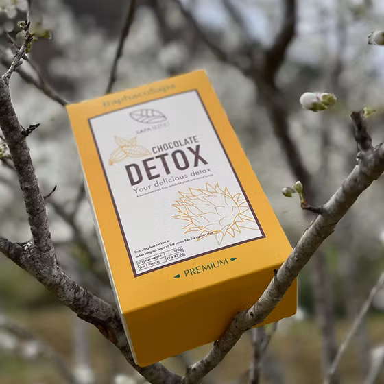 Chocolate Detox