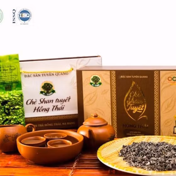 Chè Shan tuyết Hồng Thái 1 tôm 1 lá