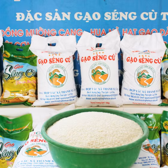 Gạo Séng Cù đặc sản Than Uyên
