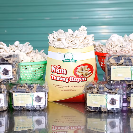 Nấm Thương Huyền