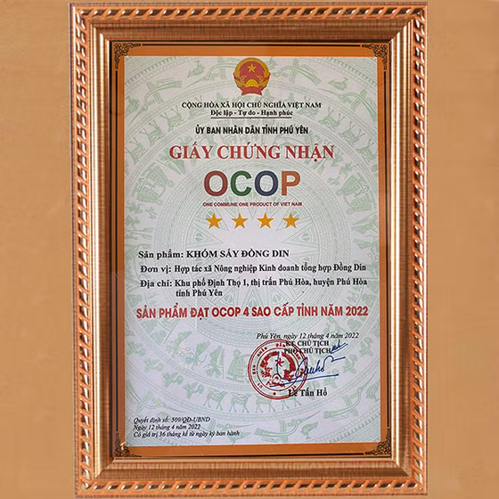 Khóm sấy Đồng Din