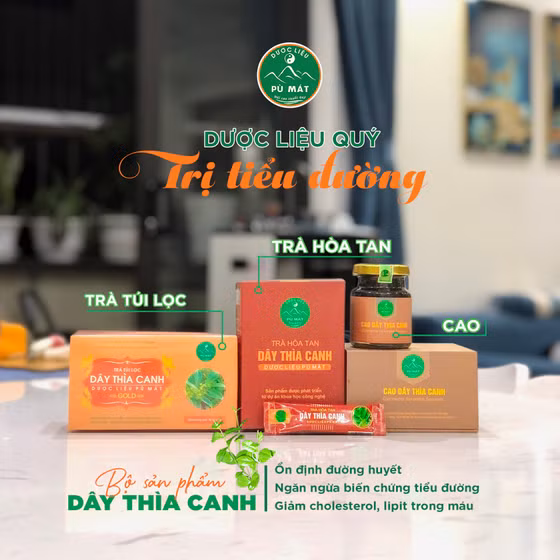 Trà túi lọc dây thìa canh