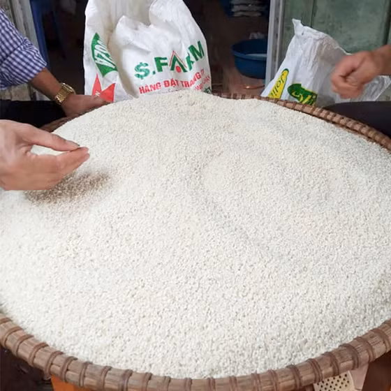 Gạo nếp Gà gáy Mỹ Lung