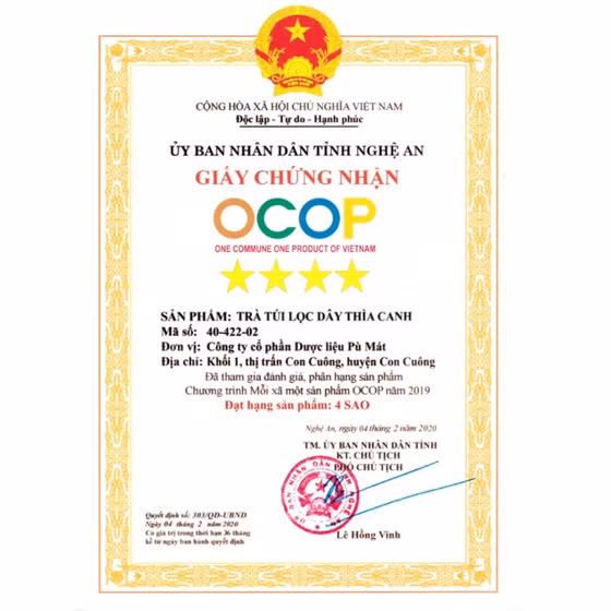 Trà túi lọc dây thìa canh
