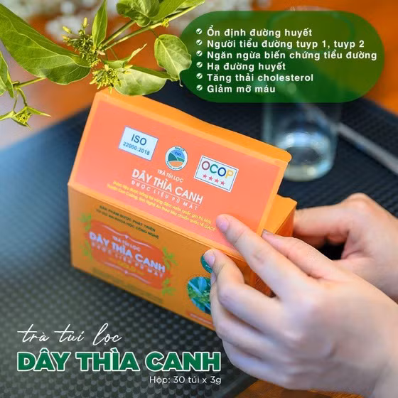Trà túi lọc dây thìa canh