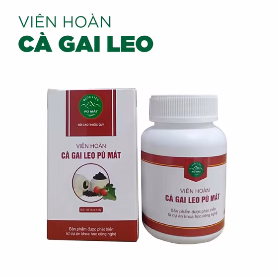 Viên hoàn cà gai leo Pù Mát 