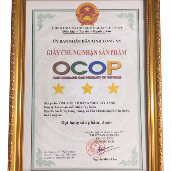 Ống hút cỏ bàng Miền Tây Xanh