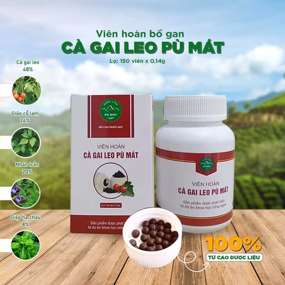 Viên hoàn cà gai leo Pù Mát 