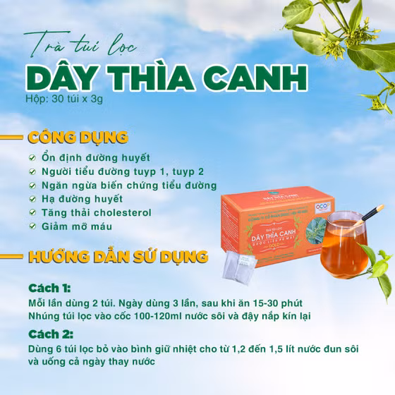 Trà túi lọc dây thìa canh