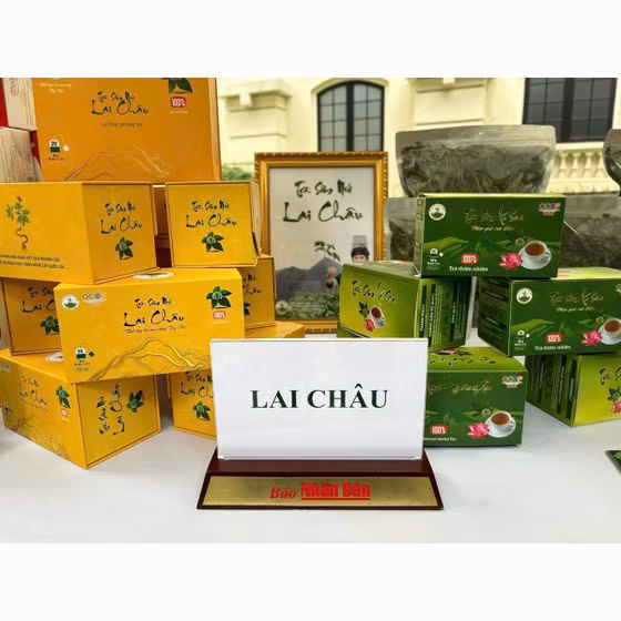 Trà sâm lá sen Lai Châu