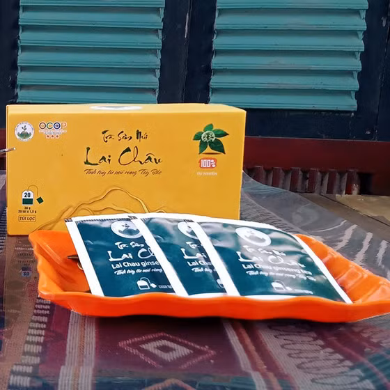 Trà sâm núi Lai Châu