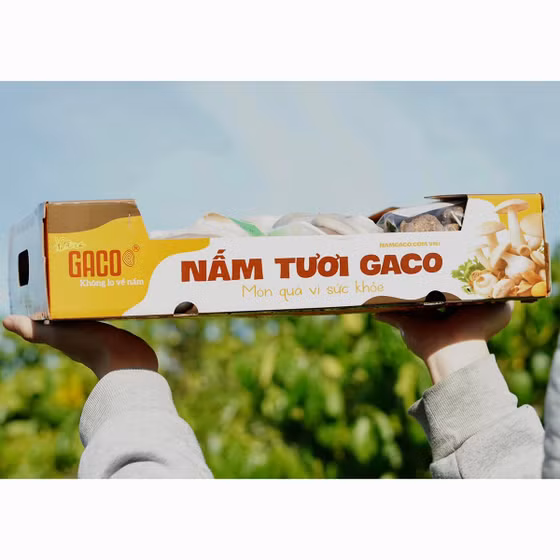 Nấm sò Notaly