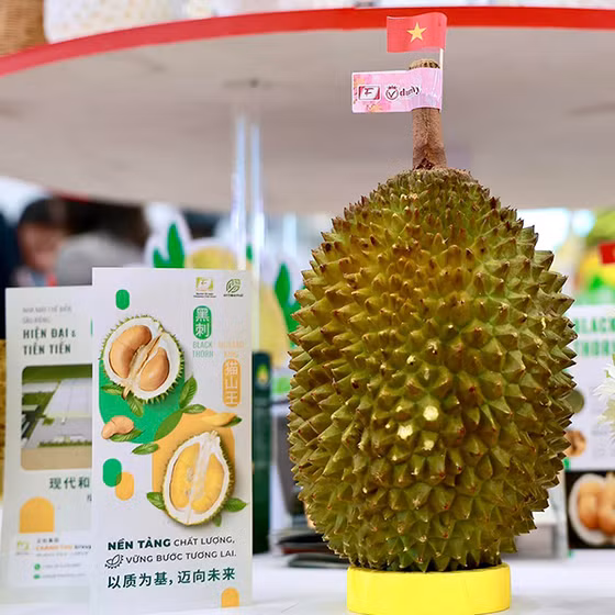 Sầu riêng cấp đông nguyên trái