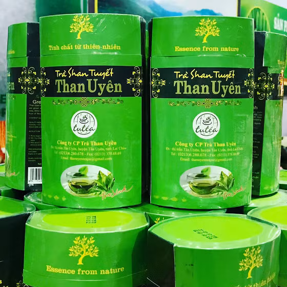 Trà Shan tuyết Than Uyên 