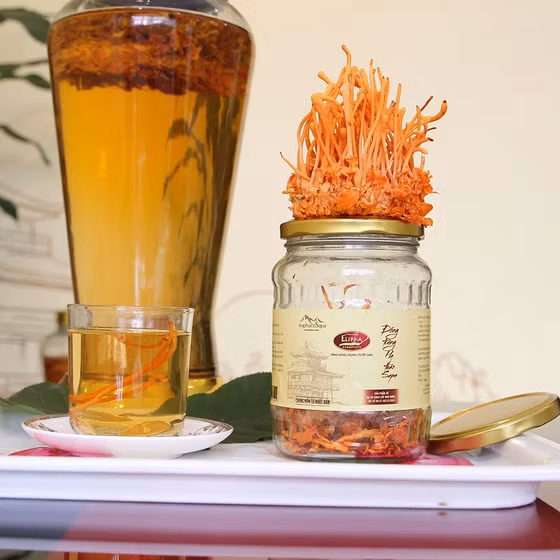 Đông trùng hạ thảo Sa Pa tươi 
